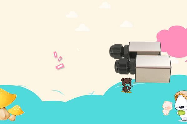 插入式超声波流量计